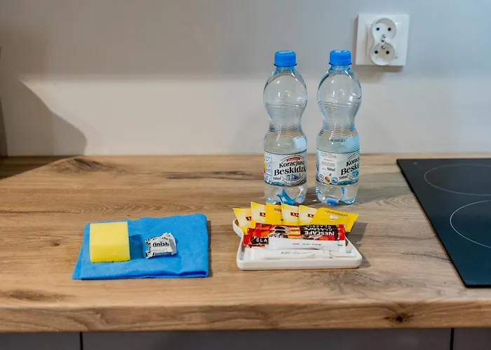 Poznan Airport Deluxe Apartment